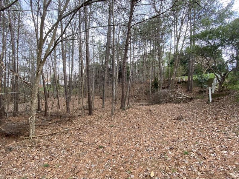 205 Silvergrove Dr Lot 95, Cary, NC 27513