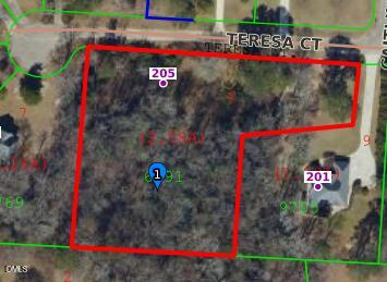 205 Teresa Ct, Angier, NC 27501