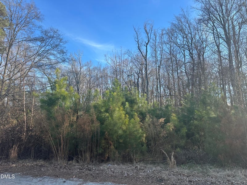 205 Teresa Ct, Angier, NC 27501