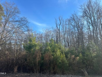 205 Teresa Ct, Angier, NC 27501