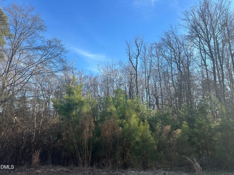 205 Teresa Ct, Angier, NC 27501