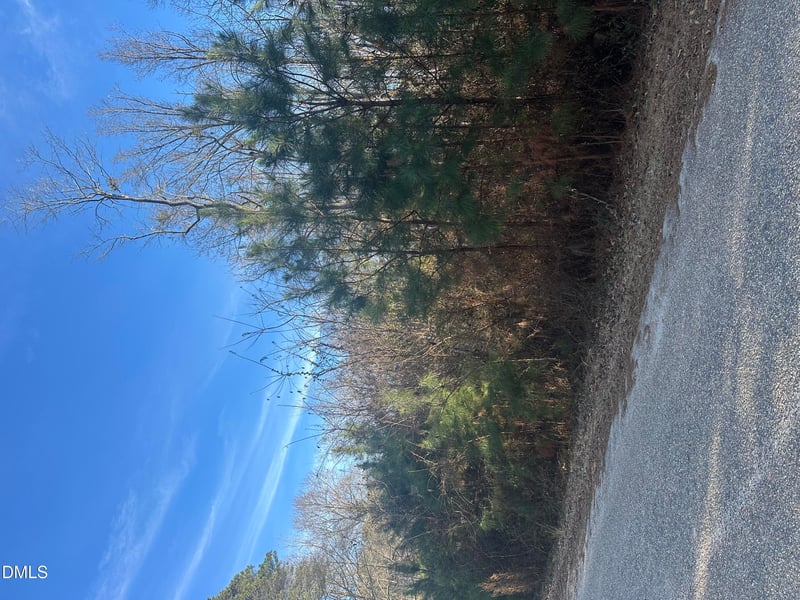 205 Teresa Ct, Angier, NC 27501