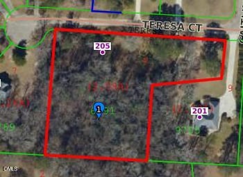 205 Teresa Ct, Angier, NC 27501