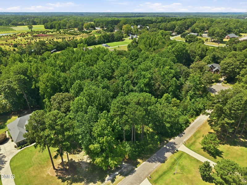 205 Teresa Ct Lot 8, Angier, NC 27501