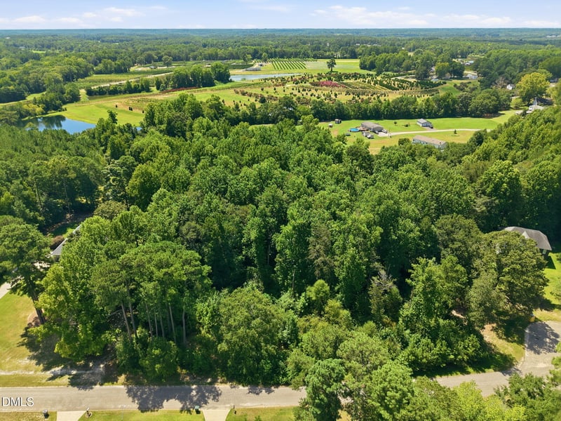 205 Teresa Ct Lot 8, Angier, NC 27501
