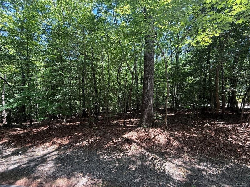 2056 Long Point Trl, Sanford, NC 27332