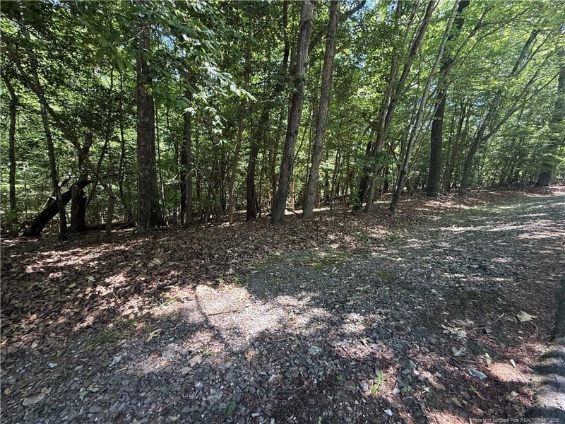 2056 Long Point Trl, Sanford, NC 27332