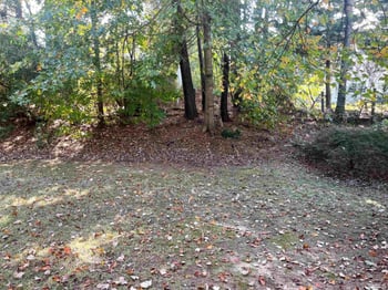 206 Caristonia Way, Apex, NC 27502