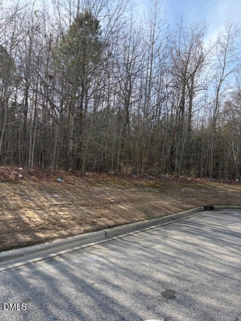 206 Hope St, Erwin, NC 28339