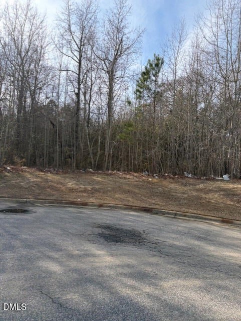206 Hope St, Erwin, NC 28339