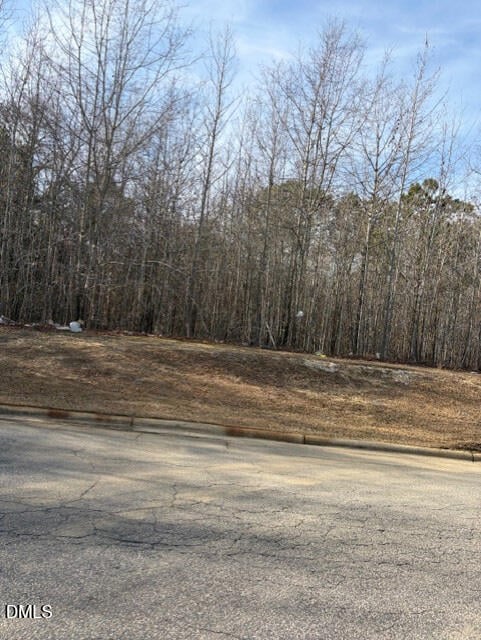 206 Hope St, Erwin, NC 28339