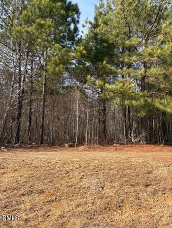 206 Hope St, Erwin, NC 28339