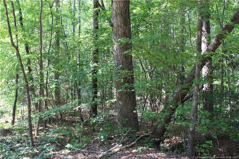 2064 Falling Stream, Sanford, NC 27332