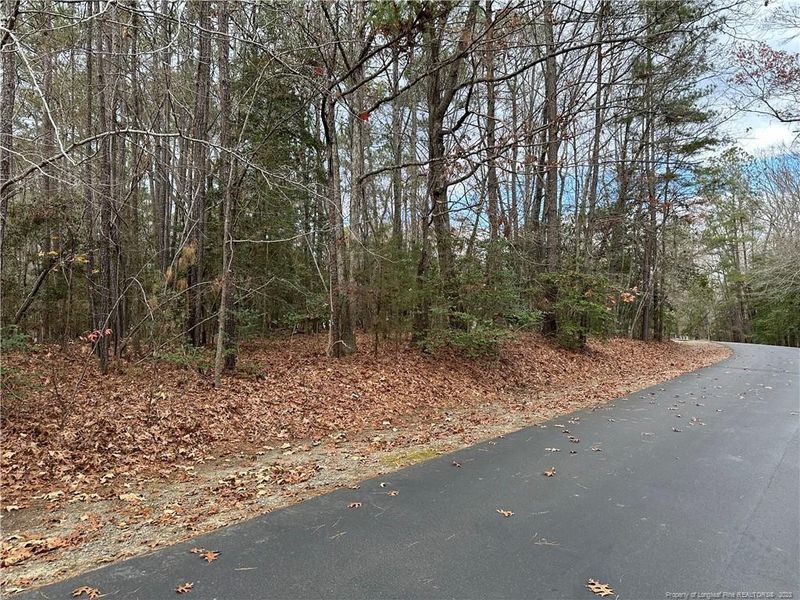 2068 Long Point Trl, Sanford, NC 27332