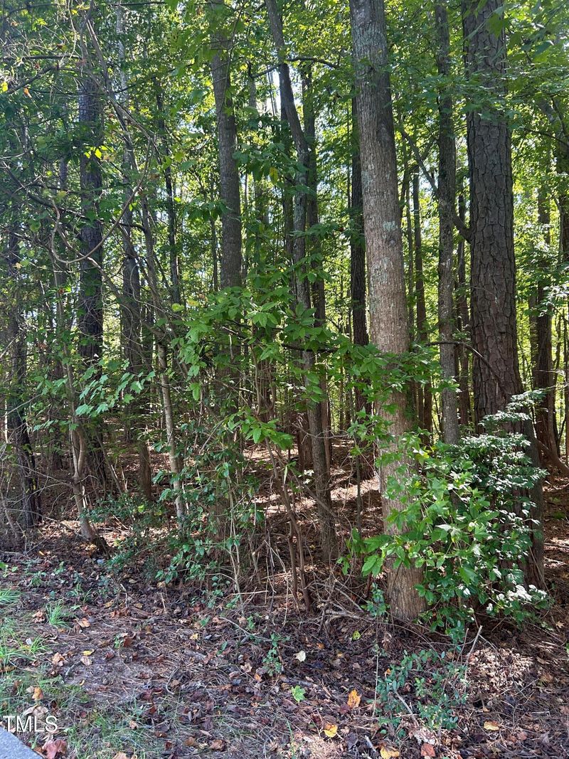 207 Devonbrook Ln Lot 6, Cary, NC 27518