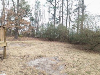 207 Pen Lou Ct, Angier, NC 27501