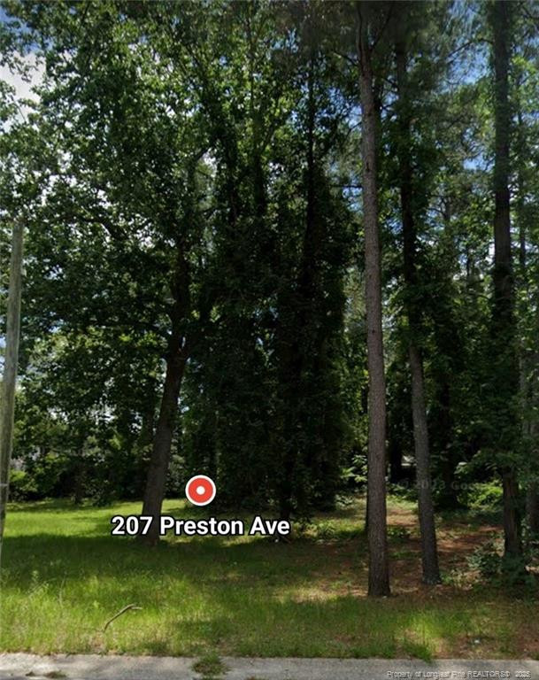 207 Preston Ave, Fayetteville, NC 28301