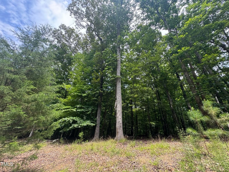 208 Jefferson Dr Lot 208, Durham, NC 27712