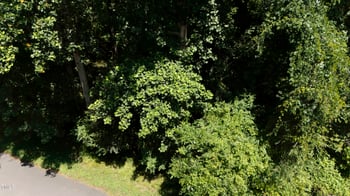 209 Barclay Rd, Durham, NC 27712