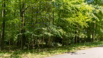 209 Barclay Rd, Durham, NC 27712