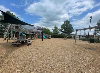 209 Poppy Pt Dr, Wendell, NC 27591