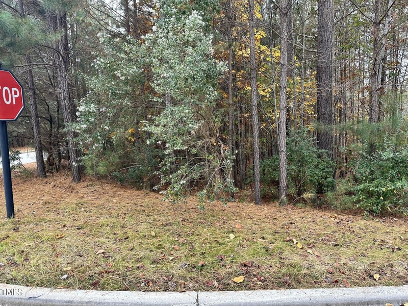 21 Bob White Lot 283, Pittsboro, NC 27312