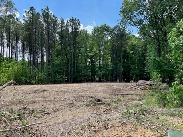 21 Terraza Ct #616, Clayton, NC 27527