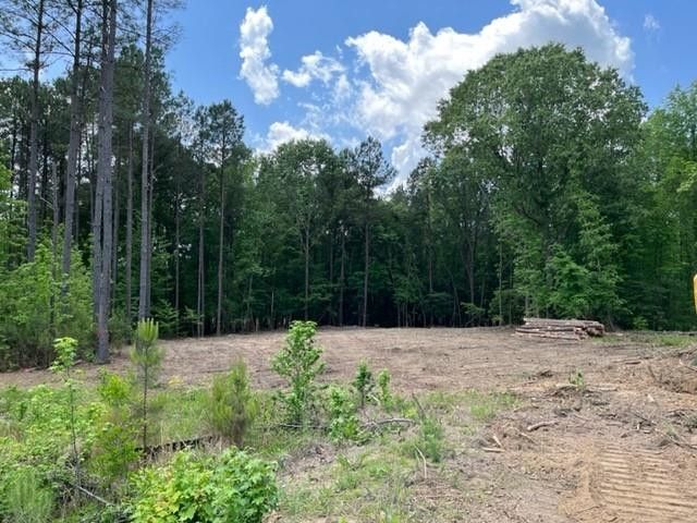 21 Terraza Ct #616, Clayton, NC 27527
