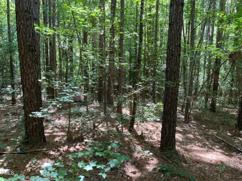 21.04 Bennett Rd, Creedmoor, NC 27522