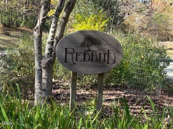 210 Anolis Ln, Pittsboro, NC 27312