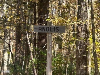 210 Anolis Ln, Pittsboro, NC 27312