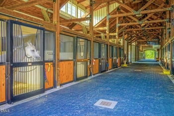 210 Paraggi Ct, Clayton, NC 27527