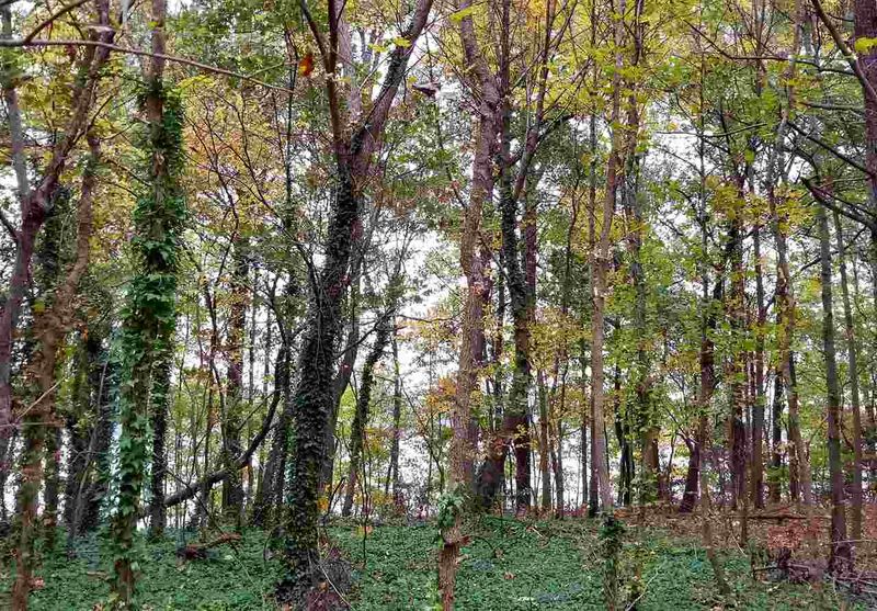 2102 Old Sorrell Rd Lot 5, Apex, NC 27539