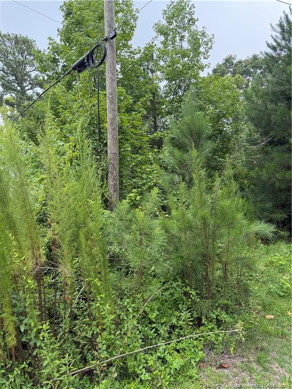 2105 Sapona Rd, Fayetteville, NC 28312