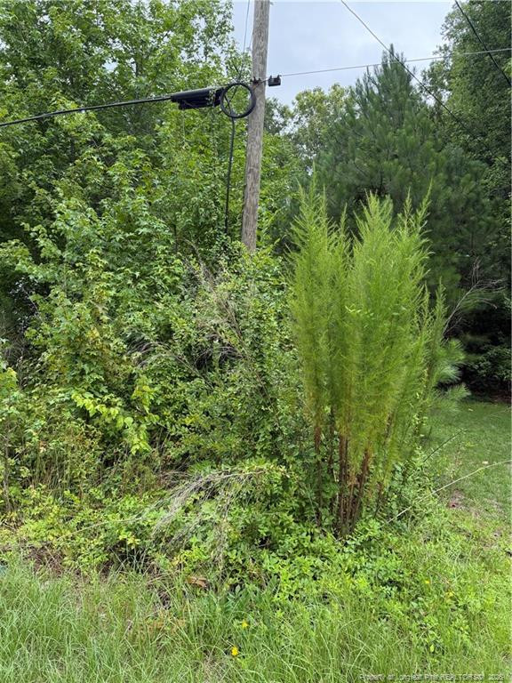 2105 Sapona Rd, Fayetteville, NC 28312