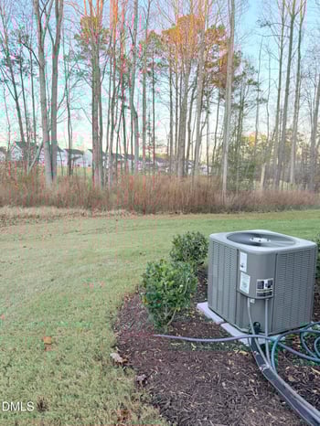 211 Aster Bloom Ln, Raleigh, NC 27610