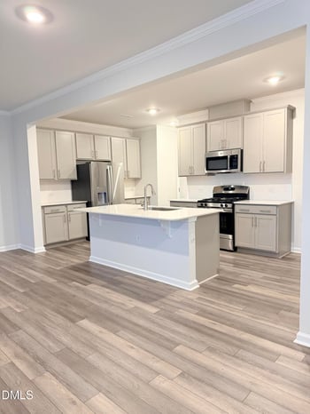 211 Aster Bloom Ln, Raleigh, NC 27610