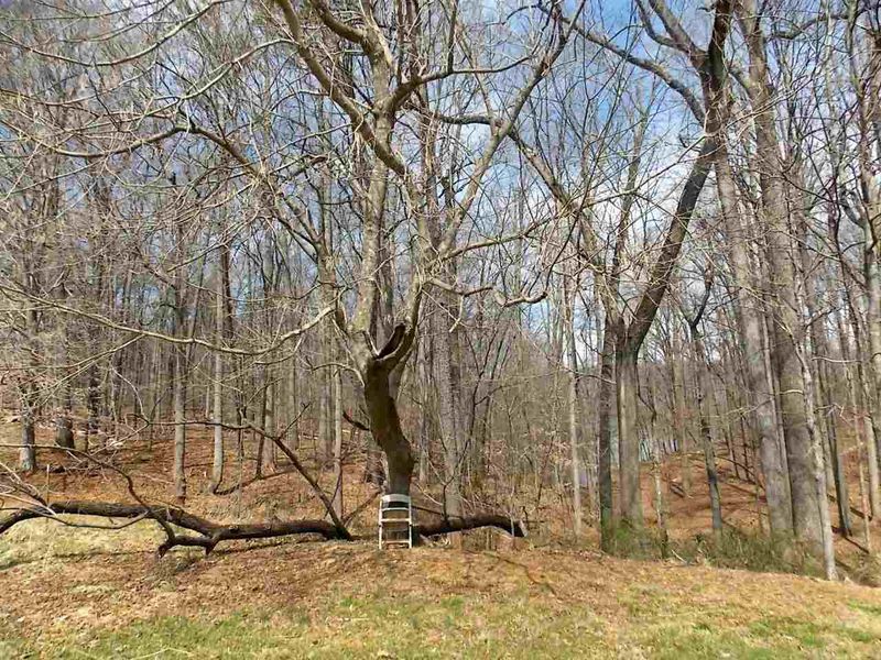 2110-2118 Heron Rd Lot 20, Burlington, NC 27215