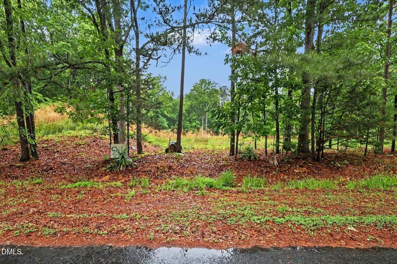2116 Forest Ridge Pl Lot 16, Durham, NC 27705