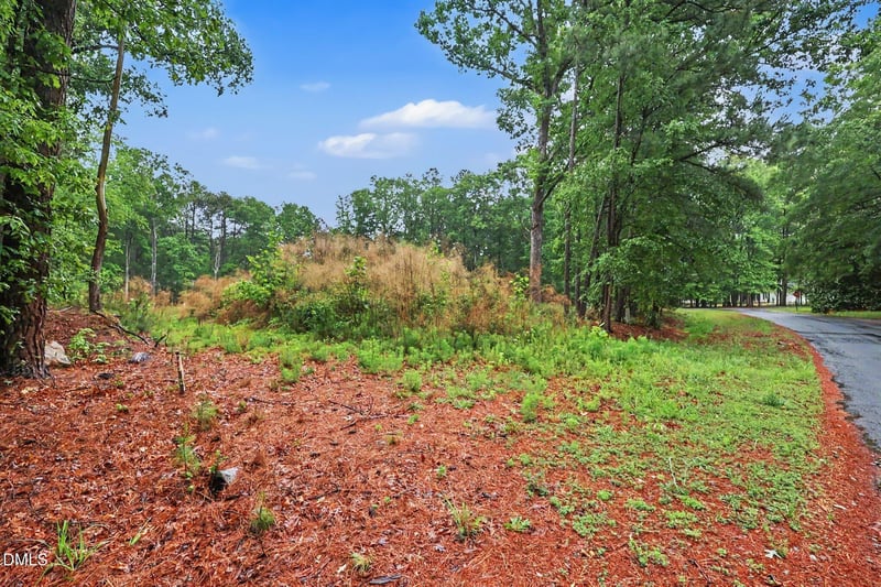 2116 Forest Ridge Pl Lot 16, Durham, NC 27705