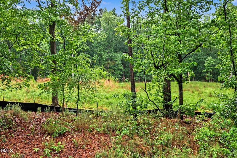 2116 Forest Ridge Pl Lot 16, Durham, NC 27705