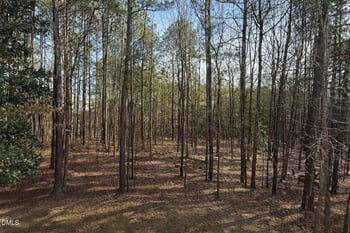 212 Capistrane Dr, Cary, NC 27519