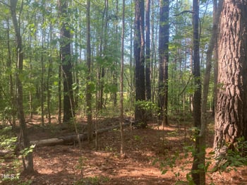 212 Pine Dr, Durham, NC 27713