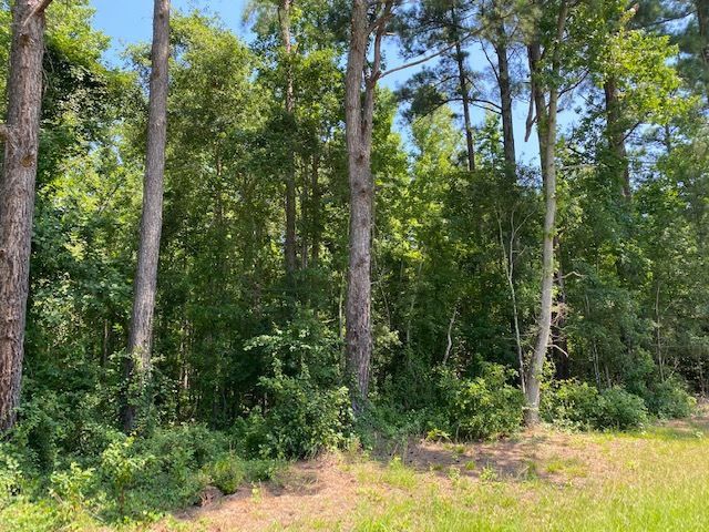 2120 Lizard Lick Rd, Zebulon, NC 27597