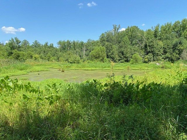 2120 Lizard Lick Rd, Zebulon, NC 27597