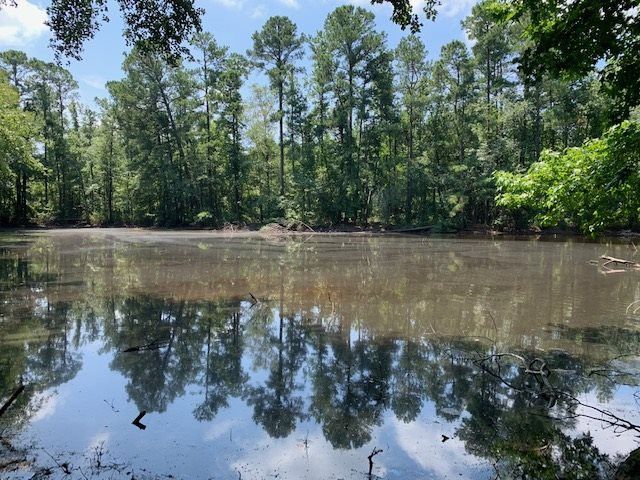 2120 Lizard Lick Rd, Zebulon, NC 27597
