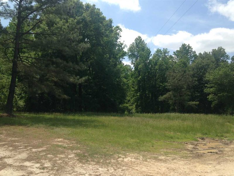 2124 Lizard Lick Rd, Zebulon, NC 27597
