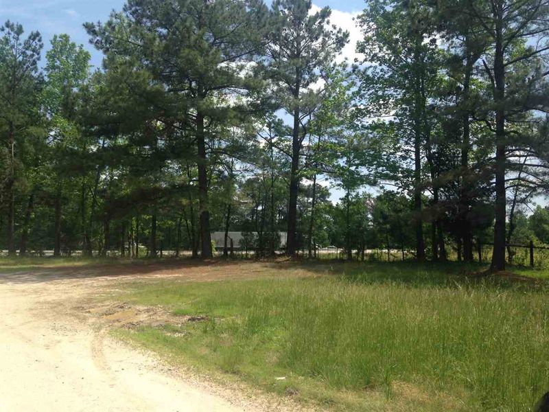 2124 Lizard Lick Rd, Zebulon, NC 27597