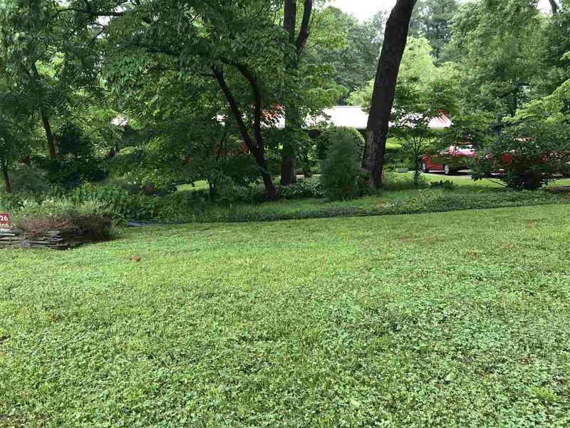 2126 Pine Dr, Raleigh, NC 27608