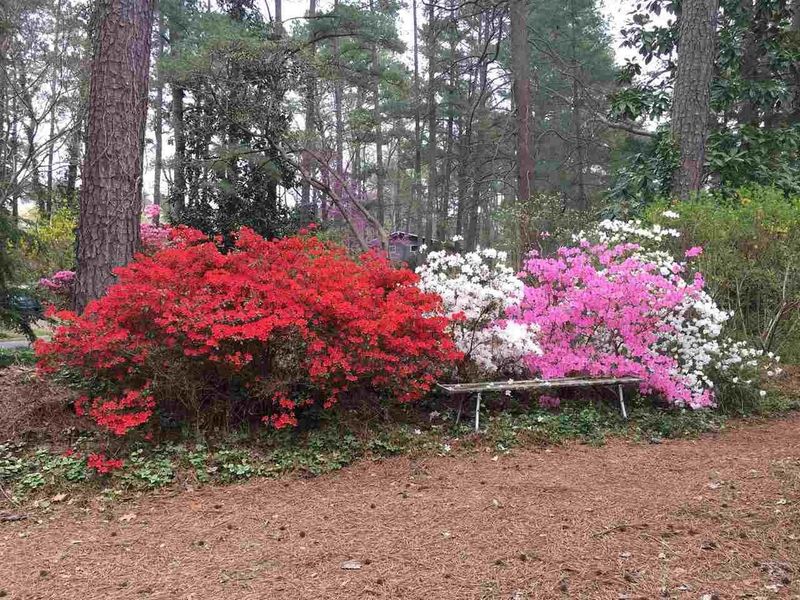 213 Bennington Dr, Chapel Hill, NC 27516